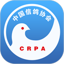 中国信鸽协会app_v2.11.0手机版