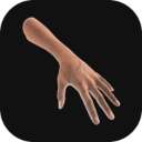 手势模拟(Hand Draw 3D FREE) v3.1安卓版