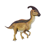 侏罗纪晚期的巨大草食性恐龙,名字的原意为"头部像手腕的蜥蜴".