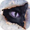 黑猫奇闻社测试版 v0.18.6安卓版