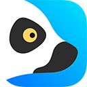 狐猴浏览器app2023最新版