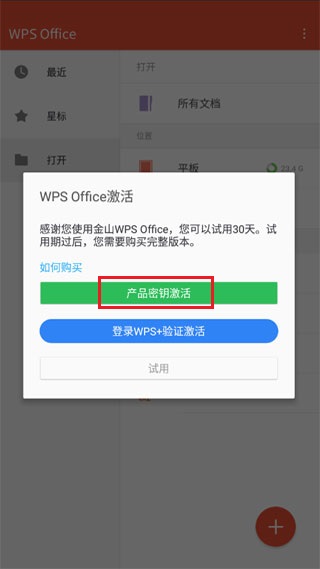 WPS Office Pro央企定制版