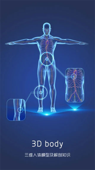 3D人体解剖图谱