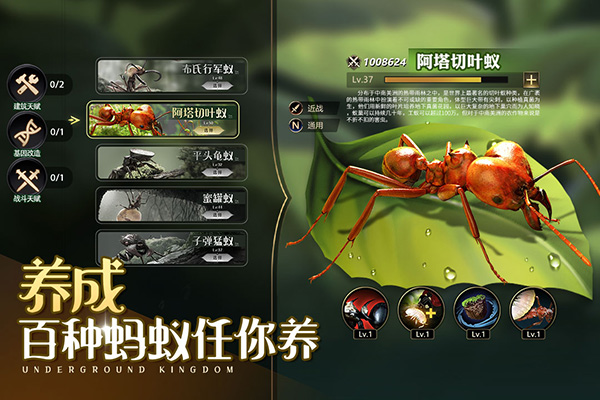 小小蚁国37游戏中文手机版